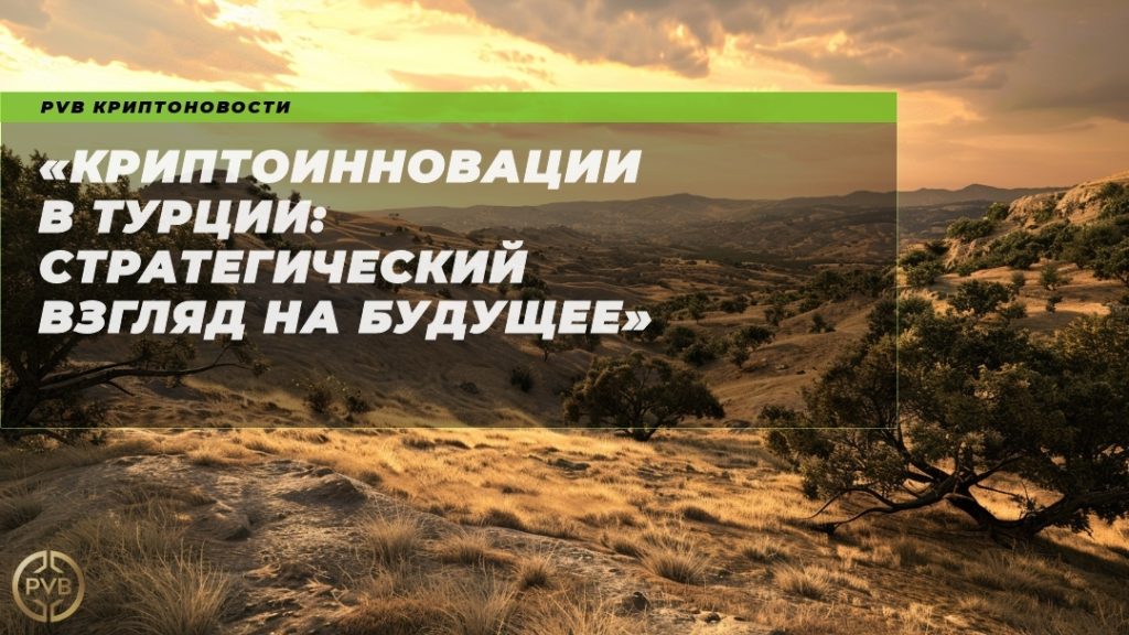 kriptoinnovatsii-v-turtsii-strategicheskiy-vzglyad-na-budushchee