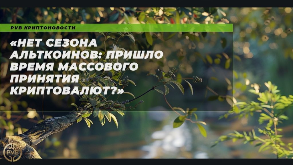net-sezona-altkoinov-prishlo-vremya-massovogo-prinyatiya-kriptovalyut